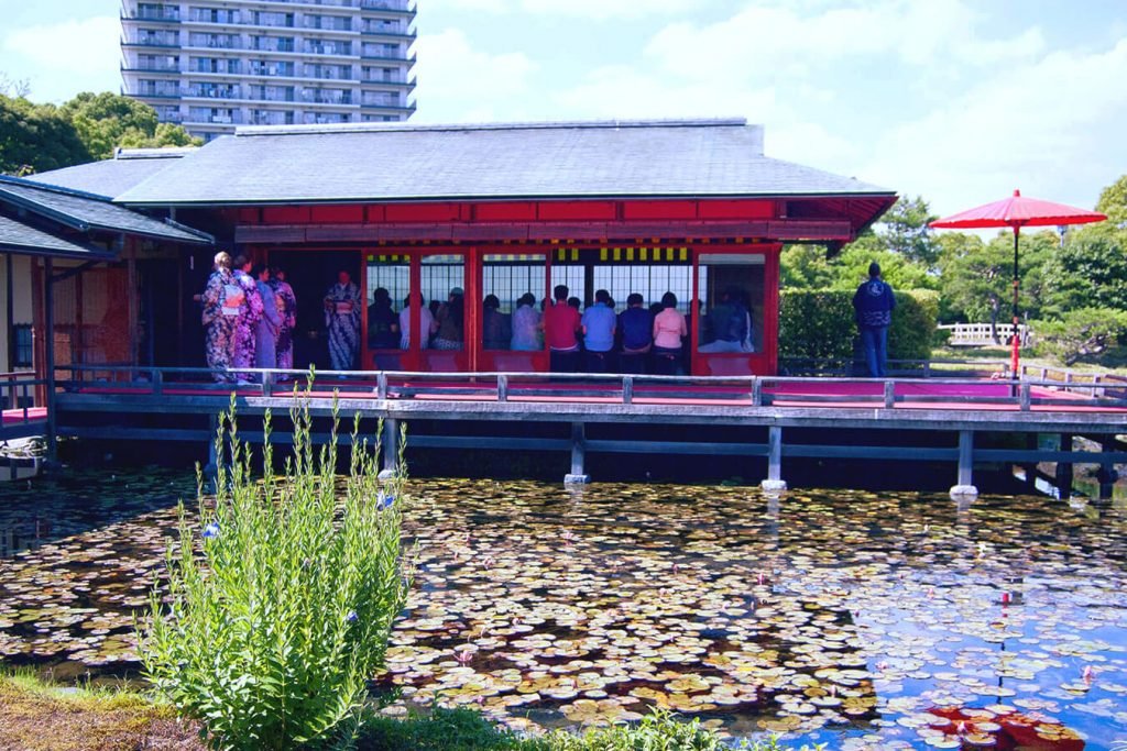 🦢 백조 정원(시라토리테이엔)